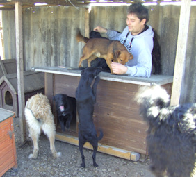 Htte m Christian u Hunden_i1