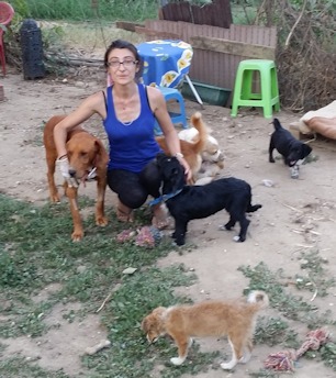 Litsa und Hunde_i1