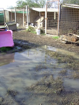 Wasser_i2